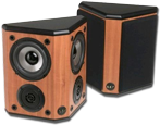 Wharfedale WH-2 Surround