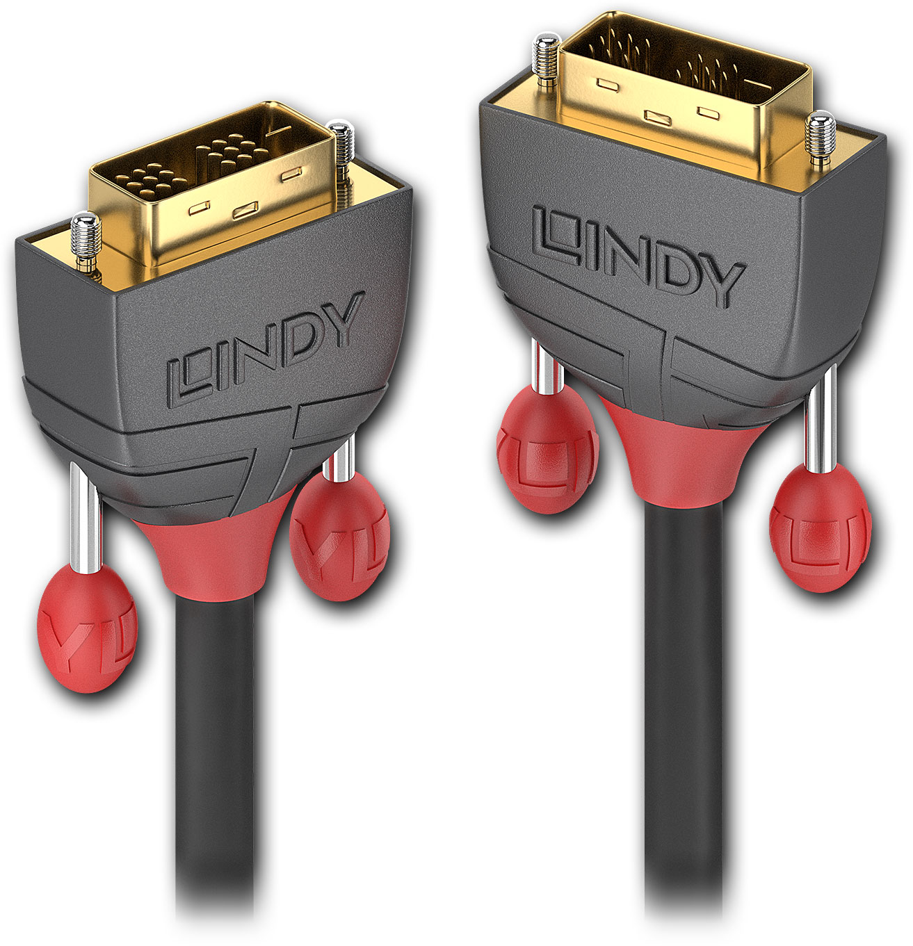 XXL Bild LINDY 36240-3