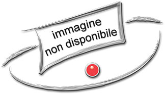 immagine non disponibile