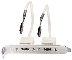 Staffa USB 2 porte IDC-5