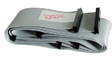 SCSI interno - 6 x IDC50, 1.6m