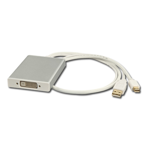 Adattatore Mini DisplayPort & DisplayPort a DVI Dual Link