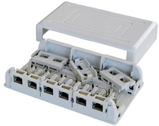 Scatola Murale 6 porte Gigabit Cat.6 STP