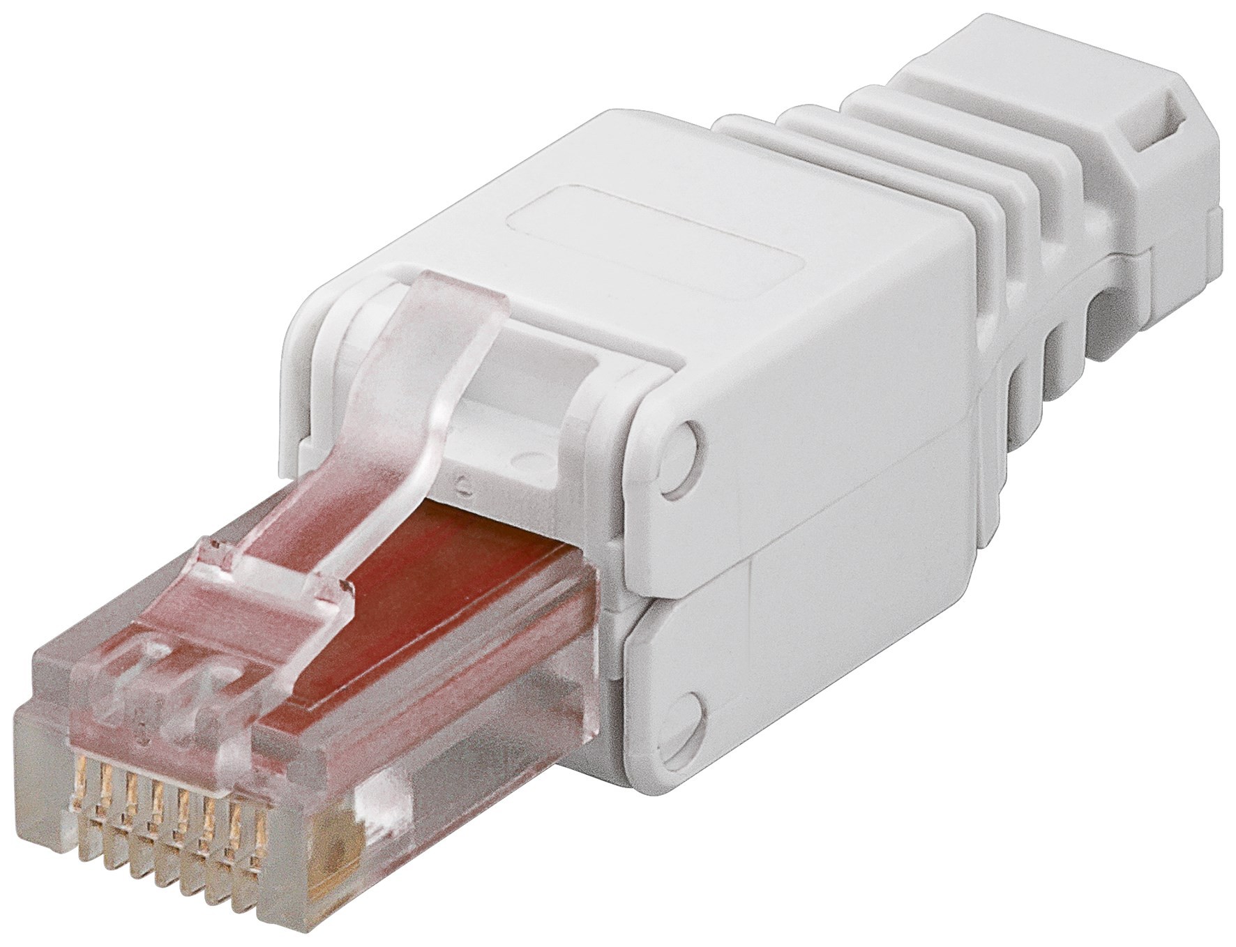 XXL Bild Intellinet IWP-8P8C-TLU6
