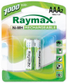 Raymax IBT-K1000-B2